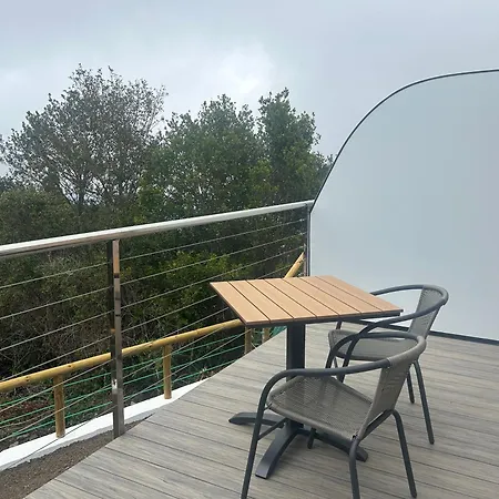 De Ensueno, Vistas Al Bosque, Stevier *