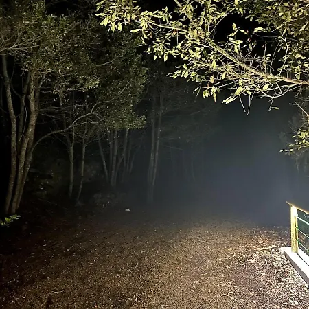 De Ensueno, Vistas Al Bosque, Stevier * 伊科德·德·洛斯·维诺斯