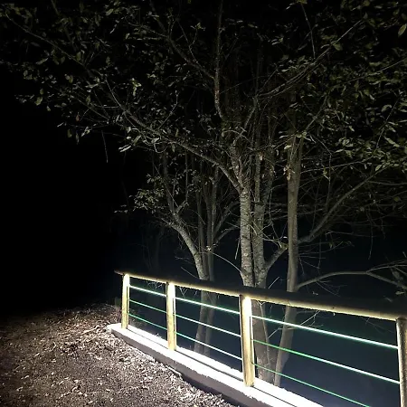 De Ensueno, Vistas Al Bosque, Stevier *