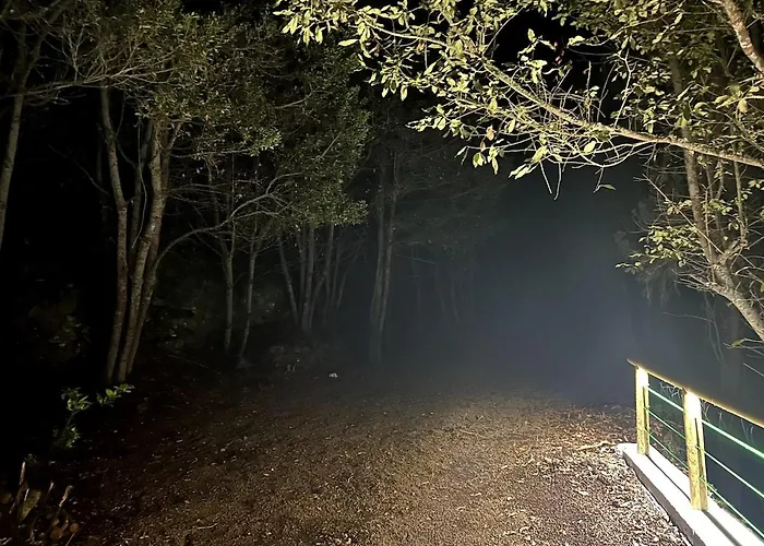 De Ensueno, Vistas Al Bosque, Stevier * Icod De Los Vinos