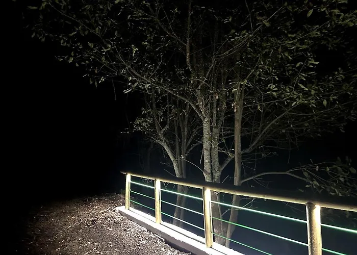 De Ensueno, Vistas Al Bosque, Stevier *